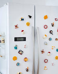 Read more about the article 5 Hilarious and Unique Funny Fridge Magnets to Brighten Your Home